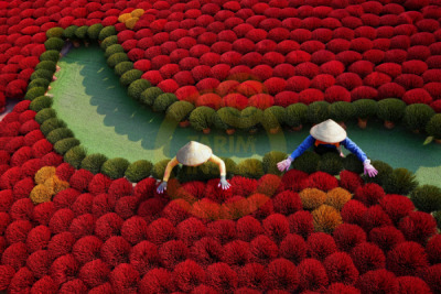 14. TARIM ORMAN VE İNSAN FOTOĞRAF YARIŞMASI - Reyhan TÜRK