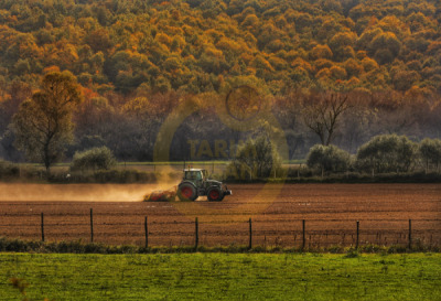 14. TARIM ORMAN VE İNSAN FOTOĞRAF YARIŞMASI - Seher BAKIM