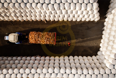 14. TARIM ORMAN VE İNSAN FOTOĞRAF YARIŞMASI - Serdar AYDIN