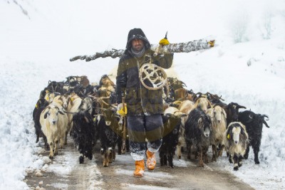 14. TARIM ORMAN VE İNSAN FOTOĞRAF YARIŞMASI - Sidar Can EREN