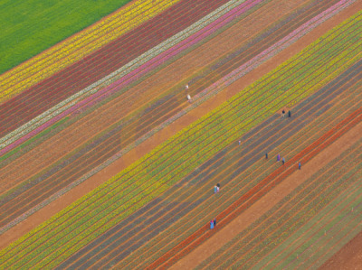 14. TARIM ORMAN VE İNSAN FOTOĞRAF YARIŞMASI - Ümit ERDEM