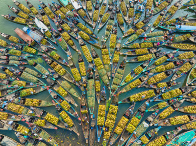 14. TARIM ORMAN VE İNSAN FOTOĞRAF YARIŞMASI - Azim Khan RONNİE