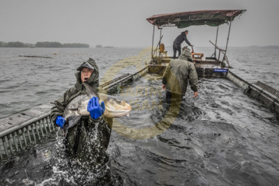 14. TARIM ORMAN VE İNSAN FOTOĞRAF YARIŞMASI - Gaochao LİU