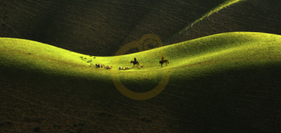 14. TARIM ORMAN VE İNSAN FOTOĞRAF YARIŞMASI - Huamin ZHOU