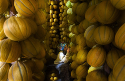 14. TARIM ORMAN VE İNSAN FOTOĞRAF YARIŞMASI - Hülya ARICI