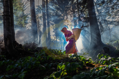 14. TARIM ORMAN VE İNSAN FOTOĞRAF YARIŞMASI - Murat TOPAL