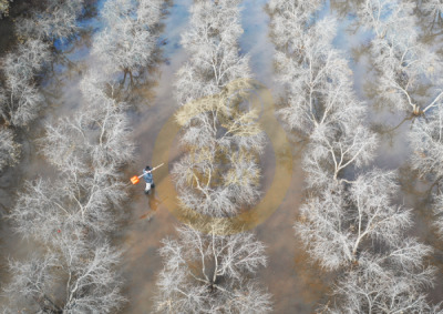14. TARIM ORMAN VE İNSAN FOTOĞRAF YARIŞMASI - Özgür SEÇMEN