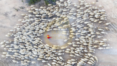 14. TARIM ORMAN VE İNSAN FOTOĞRAF YARIŞMASI - Phuoc Nguyen VU