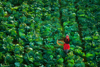 14. TARIM ORMAN VE İNSAN FOTOĞRAF YARIŞMASI - Songül GEYİK