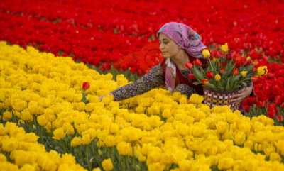 14. TARIM ORMAN VE İNSAN FOTOĞRAF YARIŞMASI - Yılmaz TOPÇU