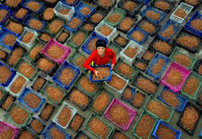 15. TARIM ORMAN VE İNSAN FOTOĞRAF YARIŞMASI - Sabri ALTIN