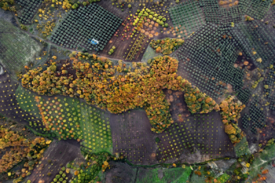 15. TARIM ORMAN VE İNSAN FOTOĞRAF YARIŞMASI - Salih KUŞ