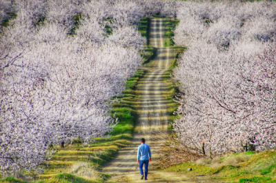 15. TARIM ORMAN VE İNSAN FOTOĞRAF YARIŞMASI - Alişan HAYIRLI