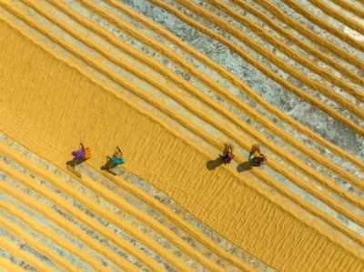 15. TARIM ORMAN VE İNSAN FOTOĞRAF YARIŞMASI - Azim Khan Ronnie