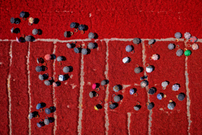 15. TARIM ORMAN VE İNSAN FOTOĞRAF YARIŞMASI - Azim Khan Ronnie
