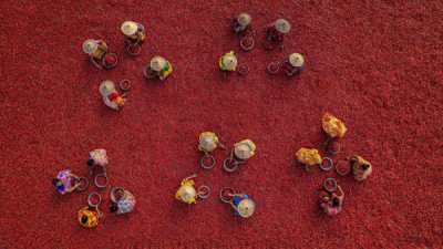 15. TARIM ORMAN VE İNSAN FOTOĞRAF YARIŞMASI - Debanjan DAS