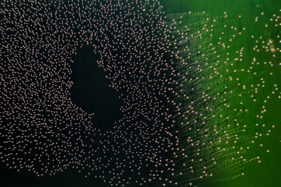 15. TARIM ORMAN VE İNSAN FOTOĞRAF YARIŞMASI - Ekrem ŞAHİN