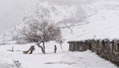 15. TARIM ORMAN VE İNSAN FOTOĞRAF YARIŞMASI - Emre BULDUK
