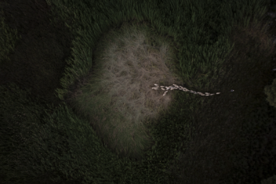 15. TARIM ORMAN VE İNSAN FOTOĞRAF YARIŞMASI - Emrullah AKGÜN