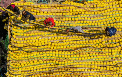 15. TARIM ORMAN VE İNSAN FOTOĞRAF YARIŞMASI - Filiz UZUNİSMAİL