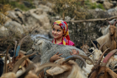 15. TARIM ORMAN VE İNSAN FOTOĞRAF YARIŞMASI - Hakkı BULUN