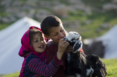 15. TARIM ORMAN VE İNSAN FOTOĞRAF YARIŞMASI - Hakkı BULUN