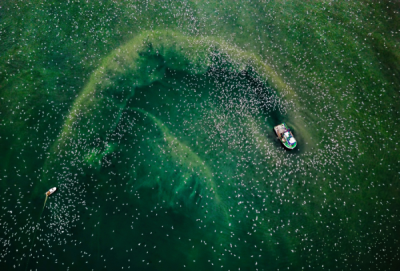 15. TARIM ORMAN VE İNSAN FOTOĞRAF YARIŞMASI - Hasan İÇEL