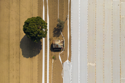 15. TARIM ORMAN VE İNSAN FOTOĞRAF YARIŞMASI - Hasan UÇAR