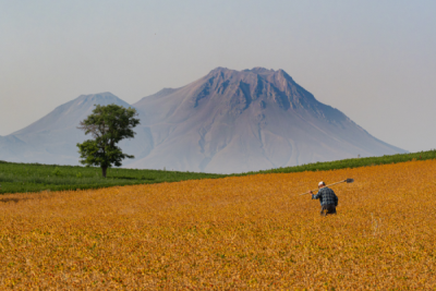 15. TARIM ORMAN VE İNSAN FOTOĞRAF YARIŞMASI - İsmail Serhat ŞAHİN