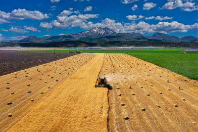 15. TARIM ORMAN VE İNSAN FOTOĞRAF YARIŞMASI - İsmail Tolga PEKŞEN