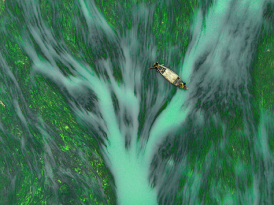 15. TARIM ORMAN VE İNSAN FOTOĞRAF YARIŞMASI - Joy SAHA