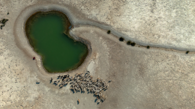 15. TARIM ORMAN VE İNSAN FOTOĞRAF YARIŞMASI - K.Deniz KALAYCI