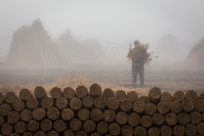 15. TARIM ORMAN VE İNSAN FOTOĞRAF YARIŞMASI - Kenan TALAS