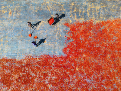 15. TARIM ORMAN VE İNSAN FOTOĞRAF YARIŞMASI - Kureyş GÖÇMEN