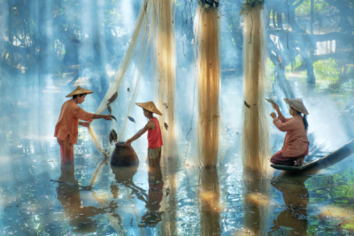 15. TARIM ORMAN VE İNSAN FOTOĞRAF YARIŞMASI - Kyaw Swar Win