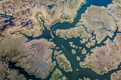 15. TARIM ORMAN VE İNSAN FOTOĞRAF YARIŞMASI - Mustafa KURTBAŞ