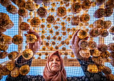 15. TARIM ORMAN VE İNSAN FOTOĞRAF YARIŞMASI - Muzaffer Murat İLHAN