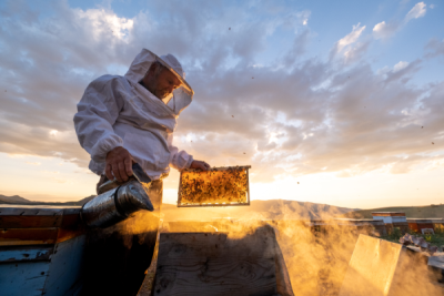 15. TARIM ORMAN VE İNSAN FOTOĞRAF YARIŞMASI - Osman MAAŞOĞLU