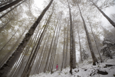 15. TARIM ORMAN VE İNSAN FOTOĞRAF YARIŞMASI - Selçuk KAHYAOĞLU