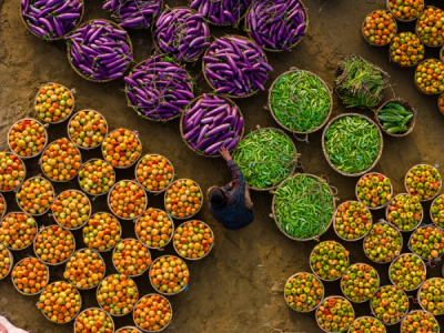 15. TARIM ORMAN VE İNSAN FOTOĞRAF YARIŞMASI - Tanvir AHMED