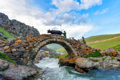 15. TARIM ORMAN VE İNSAN FOTOĞRAF YARIŞMASI - Yüksel YAVUZ