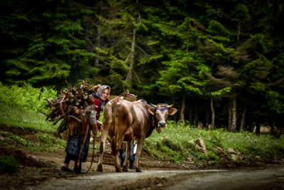 15. TARIM ORMAN VE İNSAN FOTOĞRAF YARIŞMASI - Yüksel YAVUZ