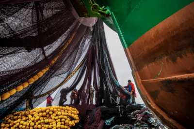 15. TARIM ORMAN VE İNSAN FOTOĞRAF YARIŞMASI - Zahide BULUT TOPAL