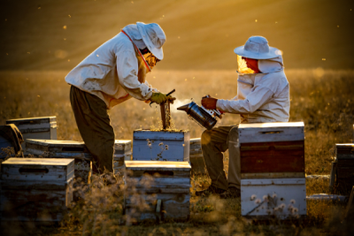 15. TARIM ORMAN VE İNSAN FOTOĞRAF YARIŞMASI - Murat CACİM