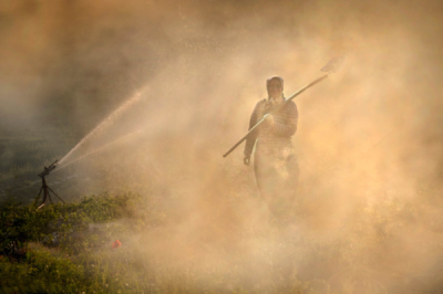 2. TARIM VE İNSAN FOTOĞRAF YARIŞMASI - Ömer PEK