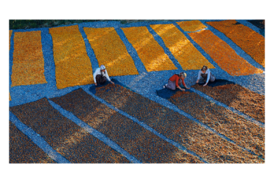 2. TARIM VE İNSAN FOTOĞRAF YARIŞMASI - M. Orhan ALKAYA