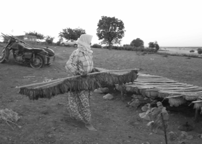 2. TARIM VE İNSAN FOTOĞRAF YARIŞMASI - Sezgin GÜL