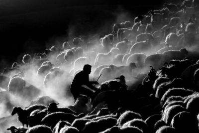 2. TARIM VE İNSAN FOTOĞRAF YARIŞMASI - M. Arif YAVUZ