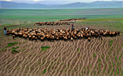 2. TARIM VE İNSAN FOTOĞRAF YARIŞMASI - Halil SARIKAYA
