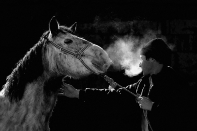 2. TARIM VE İNSAN FOTOĞRAF YARIŞMASI - Nuri  ÇORBACIOĞLU